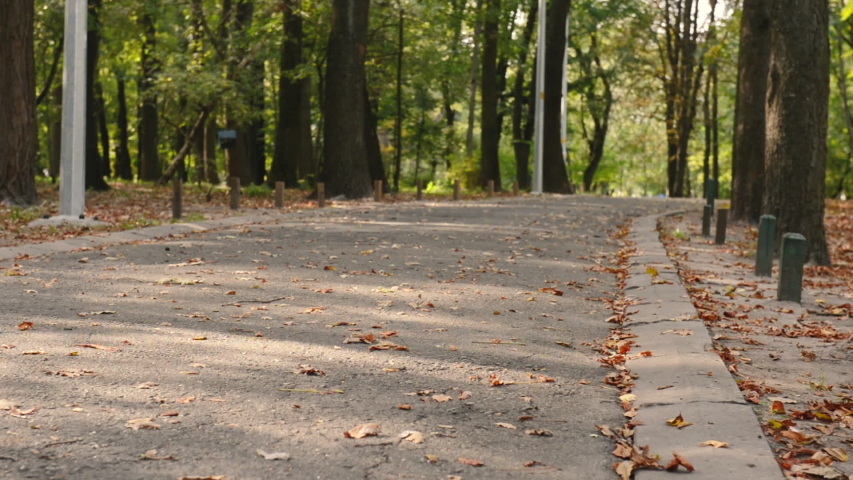 Happy young boy balancing on electric hoverboard at the sunny park, active child using and driving electrical scooter, personal eco transport outdoor. Ecological urban transportation technology.