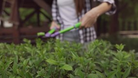 Cheerful brunette lady with long straight hair in checkered shirt and blue jeans cutting bushes with hand garden shears near wooden gazebo. Concept of manual work and landscaping.