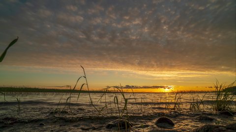 4k Timelapse of sun setting over wild lake. Nature of Karelia. Shore of Lake Ladoga, Russia. Republic of Karelia. Northern nature near Finland border. Sunset