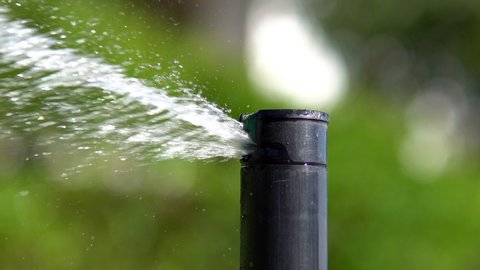 Automatic water sprinkler watering the green garden