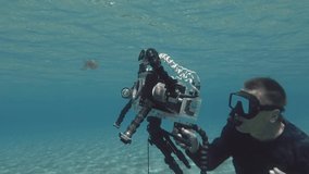 Underwater videographer shooting little jellyfish under surface of blue water. Pink Jellyfish, Mauve stinger or Purple-striped Jelly (Pelagia noctiluca). Underwater shot. Mediterranean Sea, Europe.