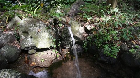Water flow through the Indonesian traditional bamboo pipe. Usually this water used for face washing, wudhu, and for the garden