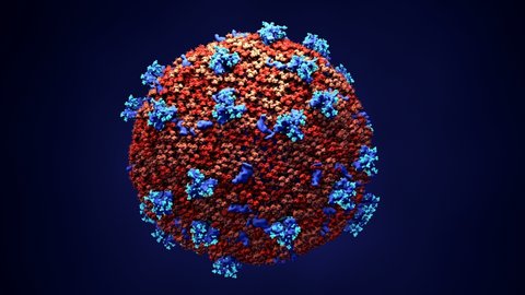 Стоковое видео: Inside look Virus, Coronavirus, respiratory virus, SARS, MERS
Here the virus is sliced open to show its genetic material.