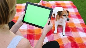 A woman holding tablet PC with a green screen for your own custom content. Girl using tablet computer sitting picnic rug with cute dog. Summer time. Video footage. shallow depth of field