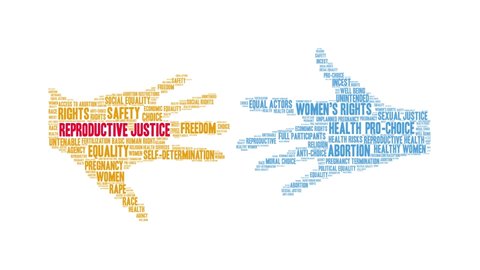 Reproductive Justice word cloud on a white background.