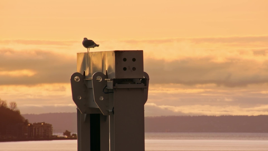 Bird on top of industrial port shipping and shipping equipment in foreground. In the background corner of city life of a curving road with contrasting skies and mountains in the background. 