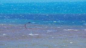 4K Kitesurfers, windsurfers riding on the wind in open sea.