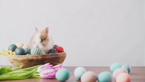 Cute Easter bunny on wooden table with colorful eggs and tulips . Easter holiday decorations, Easter concept background.

