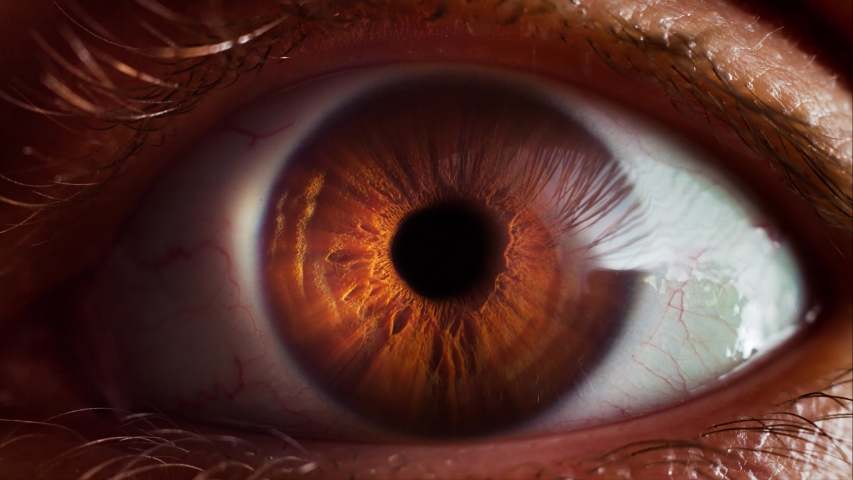 Human eye iris opening pupil extreme close up slow motion 60fps 4k Royalty-Free Stock Footage #1046146867