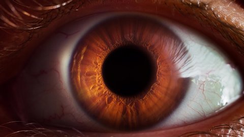 Human eye iris opening pupil extreme close up slow motion 60fps 4k