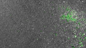 shards of broken green glass from the beer bottle crumbled on the black asphalt and shimmered beautifully like emeralds under the red-hot rays of the bright daylight sun - Powered by Shutterstock - Get 15% off with code: PIKWIZARD15