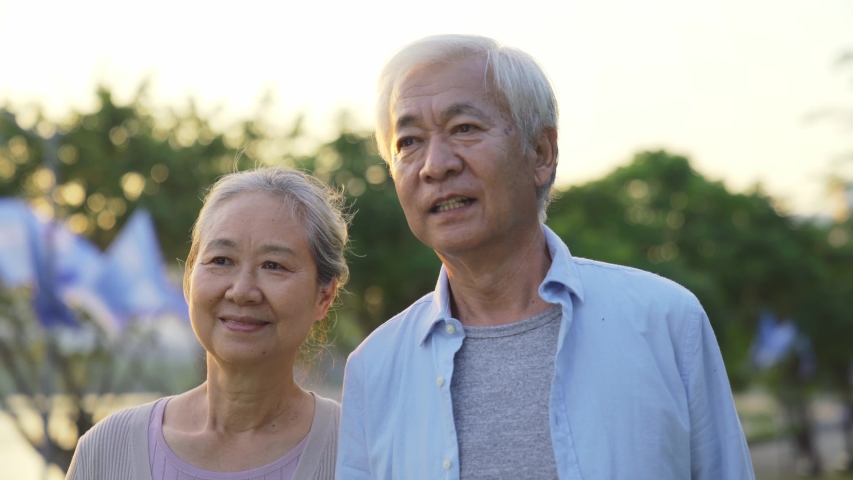 Loving old asian couple walking talking outdoors in park | Shutterstock HD Video #1046166064