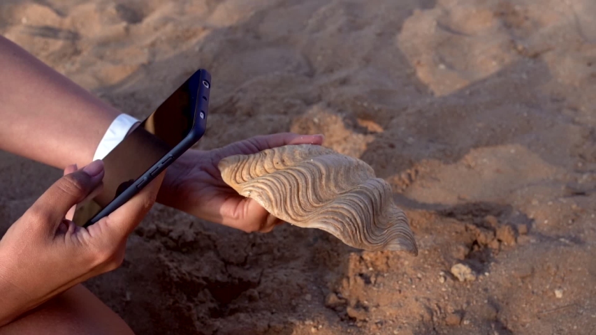 Woman taking pictures of big seashell sitting on beach of tropical hotel resort. Tourist using modern mobile phone.