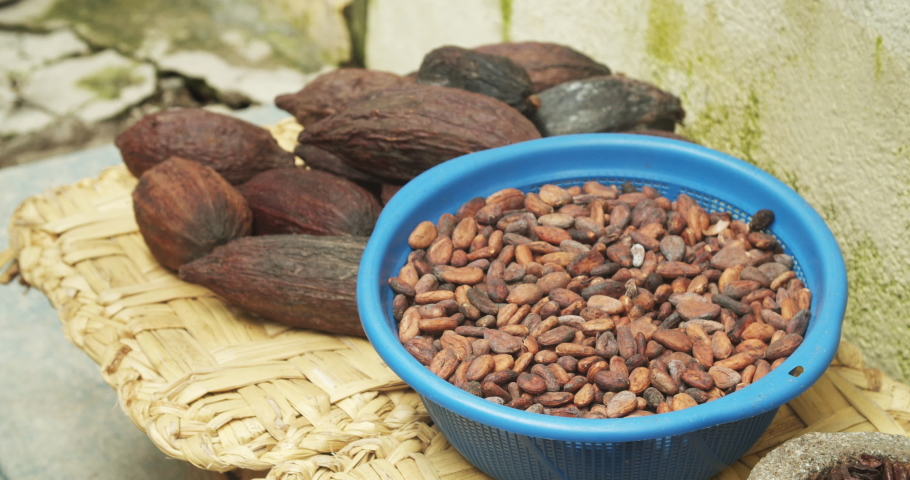 Raw cacao beans inside a basket in a rural town in Guatemala City. Mayan agricultural product