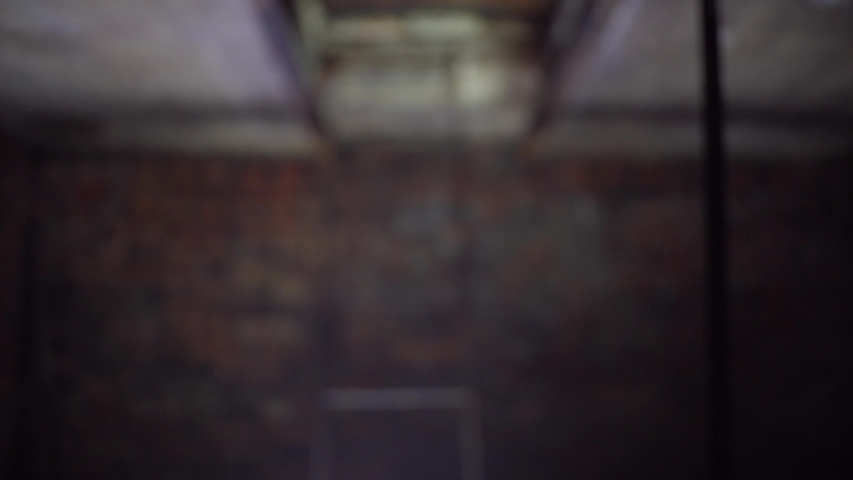 The psychopath chopped the victim with an ax, a terrible crime, a murder weapon in a dark basement.