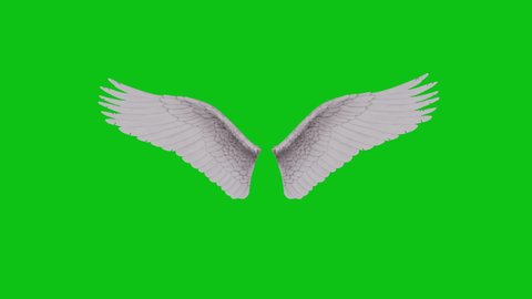 Fluffy white 3D animated angel wings with fairy tale beautiful feathers flapping on a green screen background