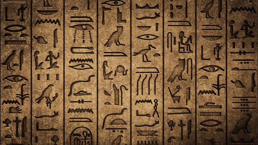 Shutterstock video thumbnail