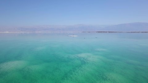 The lonely tree at the Dead Sea, israel. drone footage 4k
