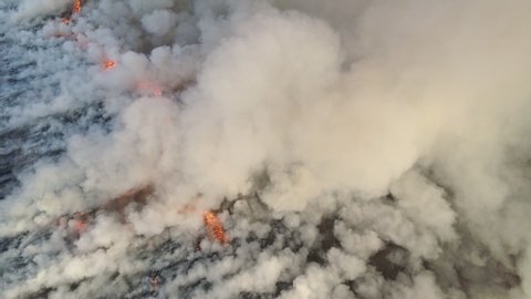 Aerial view of big smoke clouds and fire on the field. Flying over wildfire and plumes of smoke. Natural disaster due to extreme heat and climate change. 4K, UHD