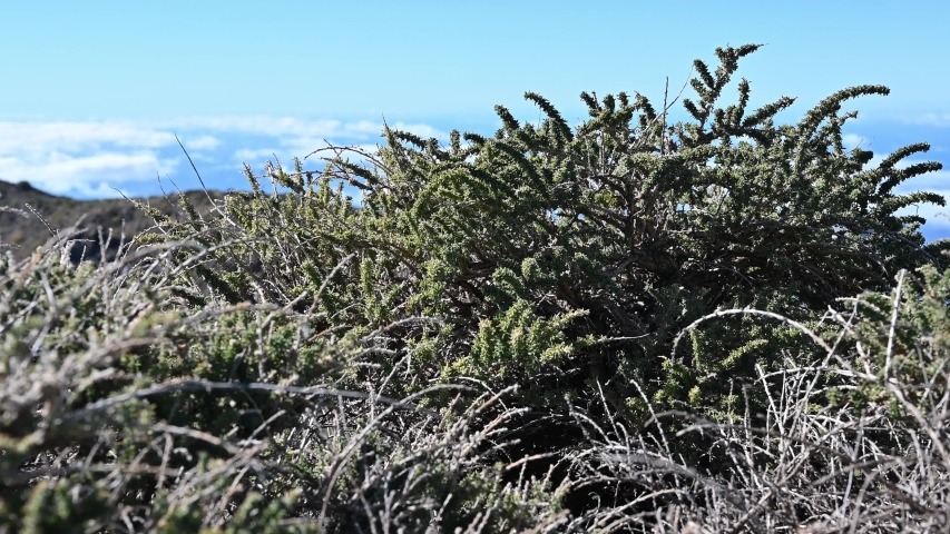 Panoramic view from the highest point of La Palma island, Roque de los Muchachos, Canary, Spain 