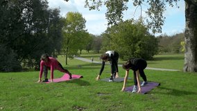 Young Woman and Teens Doing Exercise in the Park. Yoga Class for Children in the Park. Healthy Lifestyle Concept - Powered by Shutterstock - Get 15% off with code: PIKWIZARD15