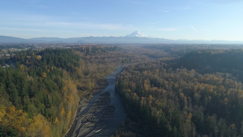4K drone shot that moves slowly up the Green River valley in Washington State with the beautiful Mount Rainier on the horizon and plenty of fall colors in the forest that dot the landscape