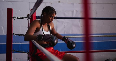 Side view of a mixed race female boxer with long plaited hair at a boxing gym, sitting in the corner of a boxing ring wearing a gumshield, banging her gloves together, looking straight ahead and