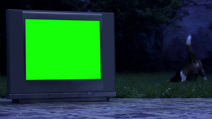Vintage Television with Green Screen and Beagle Dog in Background at Night