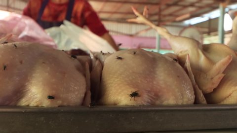 Flies on raw chicken meat at outdoor street market in Asia. Poor hygiene causes health hazard. Diseases such as salmonella or coronavirus can spread from such conditions.