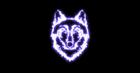 4K Neon electric wolf head animation on black background 
