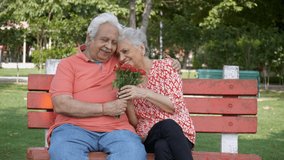 Loving elderly couple holding a bouquet of red roses on Valentine's day in India. Tilt shot of happy old husband-wife spending quality time with each other while sitting together on a bench of a pa... - Powered by Shutterstock - Get 15% off with code: PIKWIZARD15
