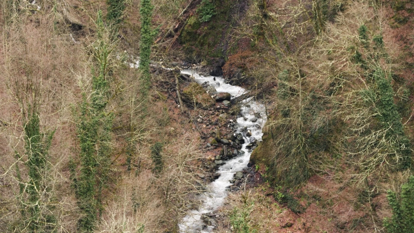 View of the mountain slope covered by withered grass and flowers. Stock footage. Stream flowing on the slope of the mountain, landscape in autumn colors.