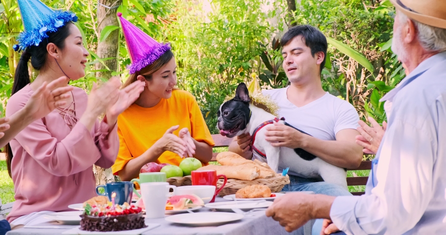 Big family reunion party outdoor. Pointing at dog. Asian senior man, woman, Caucasian man and woman, pregnant woman. Big family reunion concept, summer time.
