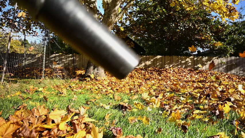 Close up of leaf blower being used in backyard for clean up Royalty-Free Stock Footage #1046426068