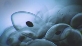 Virus attacking a cell under microscope. 3d animation of viral life cycle. Coronavirus propagation. COVID 19. - Powered by Shutterstock - Get 15% off with code: PIKWIZARD15