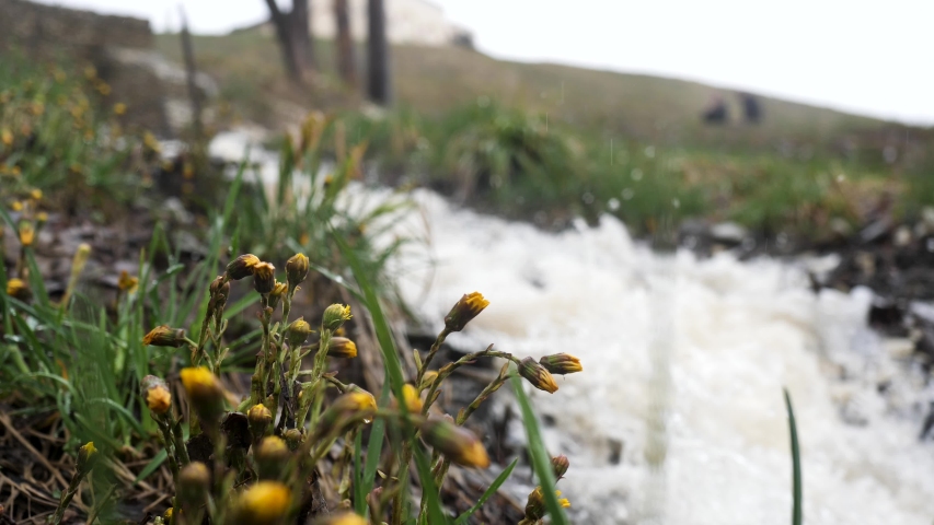 View of the mountain slope covered by withered grass and flowers. Stock footage. Stream flowing on the slope of the mountain, landscape in autumn colors.