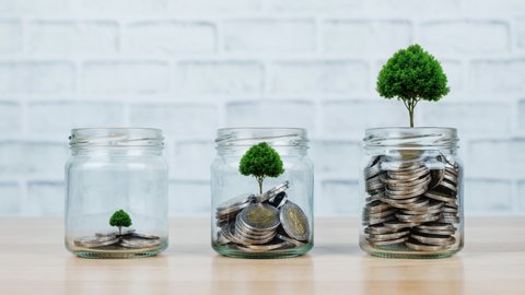 Stop motion animation Plant Growing in Money on glass jar is present to concept saving money. Stop motion