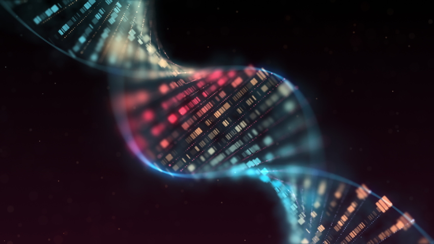 Human DNA helix, beautiful abstract animated background.4k.Loop. Royalty-Free Stock Footage #1046476138