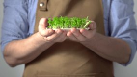 A man in a brown apron holds out a bowl of sprouts of micro greens in front of him. 4K video, close-up.