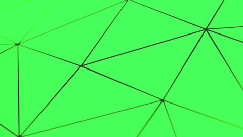 Abstract animated background made of polygonal shape. Green low poly displaced surface with black connecting lines. 3D rendering animation loop