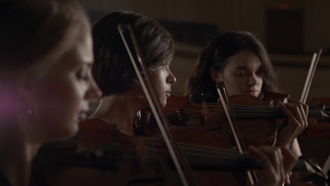 Team of Three Music Players with Classic Wooden Violins. Motions of Women Playing Acoustic Melody Indoors. Activity of Pretty Woman as Violinist or Skill of Musician in Work of Talented Girl Closeup