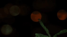Nocturnal bird and artistic night clip of the European Scops-Owl (Otus scops) perched on a spruce branch with caught grasshopper. Landing and flying away from the branch, face to face view.