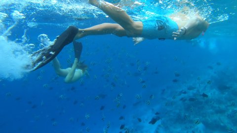 Underwater view of the young couple swimming in the sea
