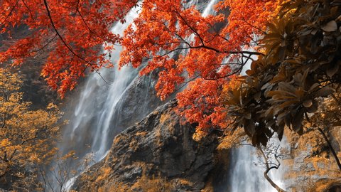 Still shot of amazing in nature, beautiful waterfall at colorful autumn forest in fall season