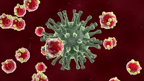 3D animation of the antibody fight against the virus in the body. The threat of coronavirus eliminated