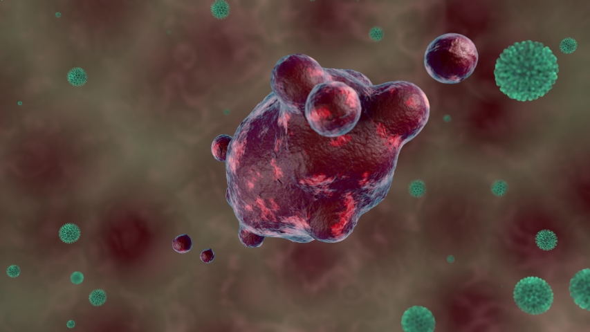 3D animation of a red microorganism that is attacked by green antibodies or viruses. The organism pulsates and is reduced. Royalty-Free Stock Footage #1046631703