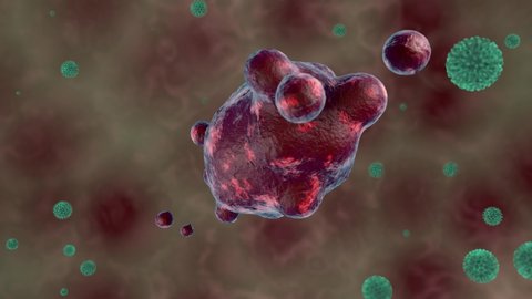 3D animation of a red microorganism that is attacked by green antibodies or viruses. The organism pulsates and is reduced.