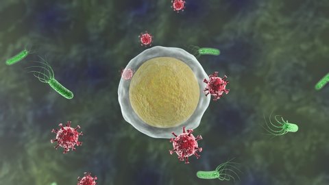 3D animation of a virus attack on an organism cell. Resistance and defeat of the cell and its death. Idea for videos on medicine and health care.