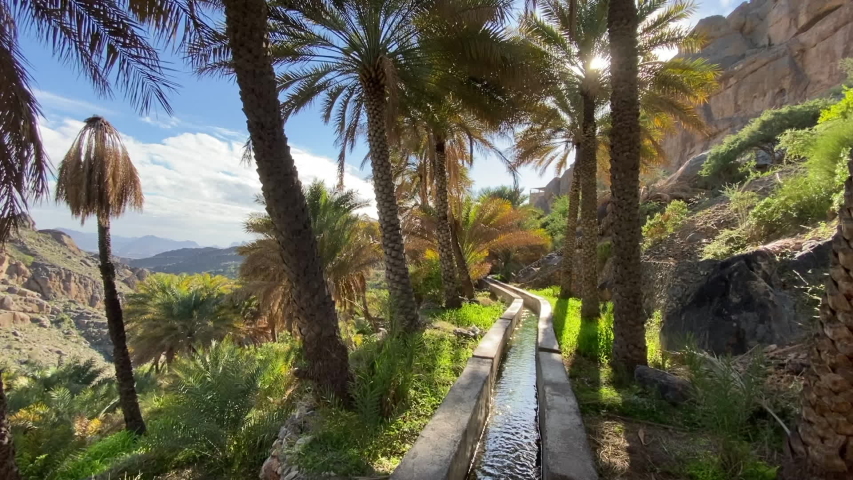 Oman Agriculture Stock Video Footage - 4K and HD Video Clips | Shutterstock