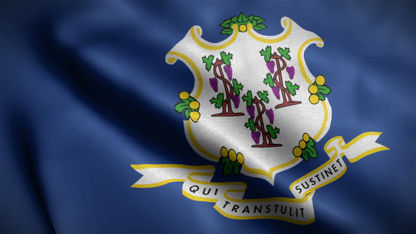 Closeup view of Connecticut state flag. The states great seal and symbol. One of the USA 50 states. Flag waving and blowing in wind. loopable 16 seconds video. High quality cloth textures. 